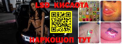 гидропоника Пугачёв