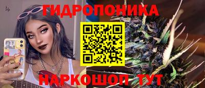 дмт Пушкино