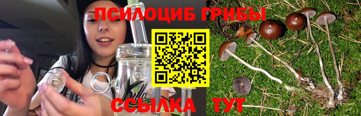 Саранск  Галлюциногенные грибы мухоморы  Вход с VPN 